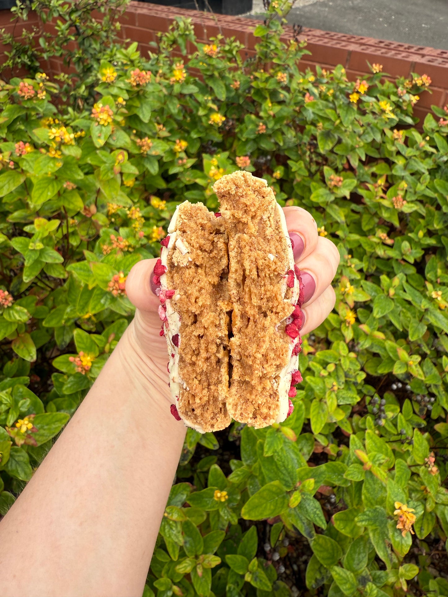 WHITE CHOCOLATE + RASPBERRY PROTEIN COOKIE